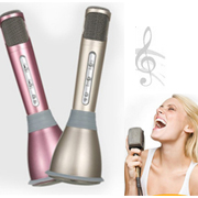 KTV Player Karaoke Mini Bluetooth Microphone Handheld Speaker
